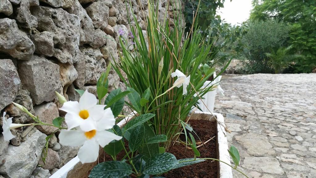 Agriturismo Tenuta La Siesta Gallipoli Exterior foto